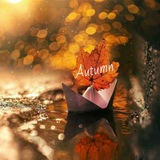 autumn_paeez70 | Unsorted