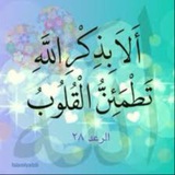 allah828 | Unsorted