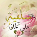 noura253 | Unsorted