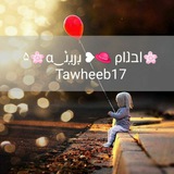 tawheeb17 | Неотсортированное