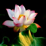 photostore | Неотсортированное