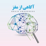 brainawareness | Unsorted