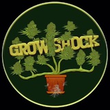 growshockgroup | Unsorted