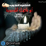 omfadil | Unsorted