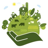 Agroecology