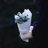 toliinlilas125 | Unsorted