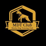 mdtclub | Unsorted