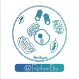 reihanbio | Unsorted