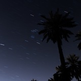 thenightlife | Unsorted