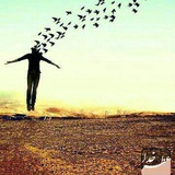 pakibihad | Unsorted