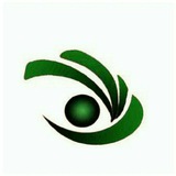 negahesarinews | Unsorted