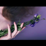 hozorietefaghi | Unsorted