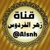 alsnh | Unsorted