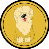 komondorinutoken | Unsorted