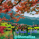 shomaliiaa | Unsorted