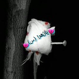 nohaafg | Unsorted