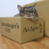 La scatola di Schrödinger