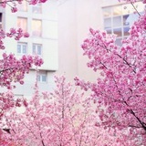 farawila_r | Unsorted