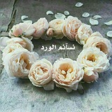 chjoun | Unsorted