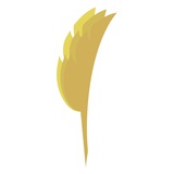se3nasl | Unsorted