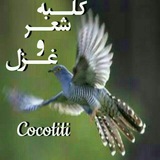 cocotiti | Unsorted