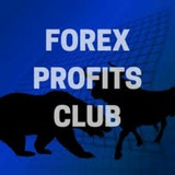 Forex trader