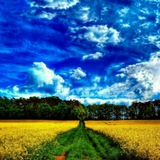 lajevardiphilosophy | Неотсортированное