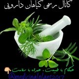 🌿گیاهان دارویـــی🌿