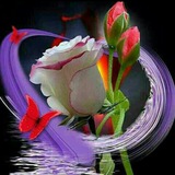 samimiyyat | Unsorted