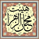 mohebaniha | Unsorted