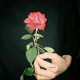 monzer_sy | Unsorted