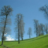 mazandrane | Unsorted