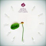 fatemiyeh_me | Unsorted