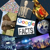 googlefactss | Unsorted