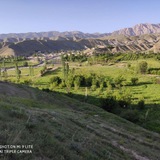 hassanvillage | Unsorted