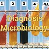 microbio899 | Unsorted