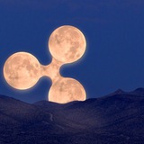 Ripple „Rumours“