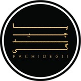 pachidegii | Неотсортированное