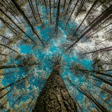 ye_rooze_abi | Unsorted