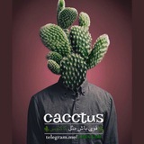cactos | Unsorted