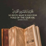 quranquotess | Неотсортированное