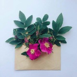 mh_qm | Unsorted