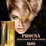 procsa | Unsorted