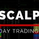 scalpingtoday | Unsorted