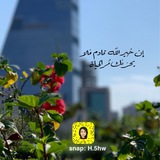 heba1410 | Unsorted