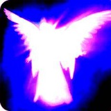 hipnotrap | Unsorted