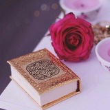 rabehalkolob | Unsorted