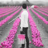 thoughtsofapen | Unsorted