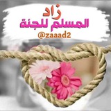zaaad2 | Неотсортированное