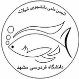 shilatfum | Неотсортированное